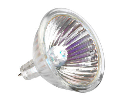 Spare Bulb