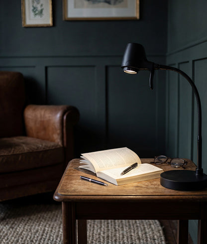 HD Pro table light